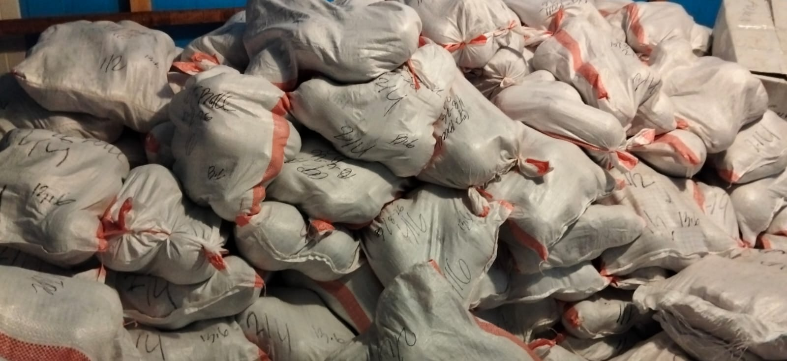 Marked sacks of frozen product staged in the cold store