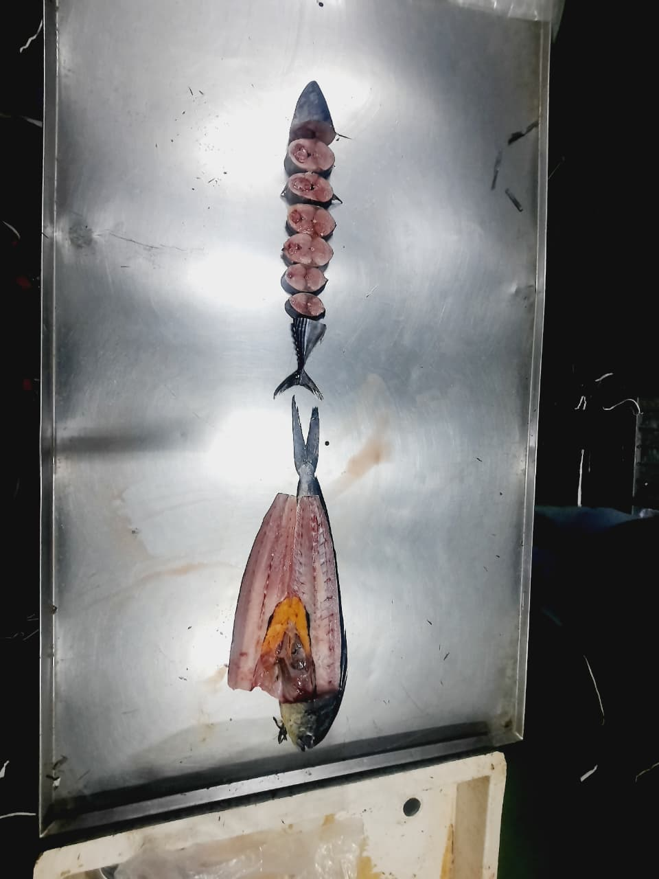 Cut test on the QC bench showing cross-sections