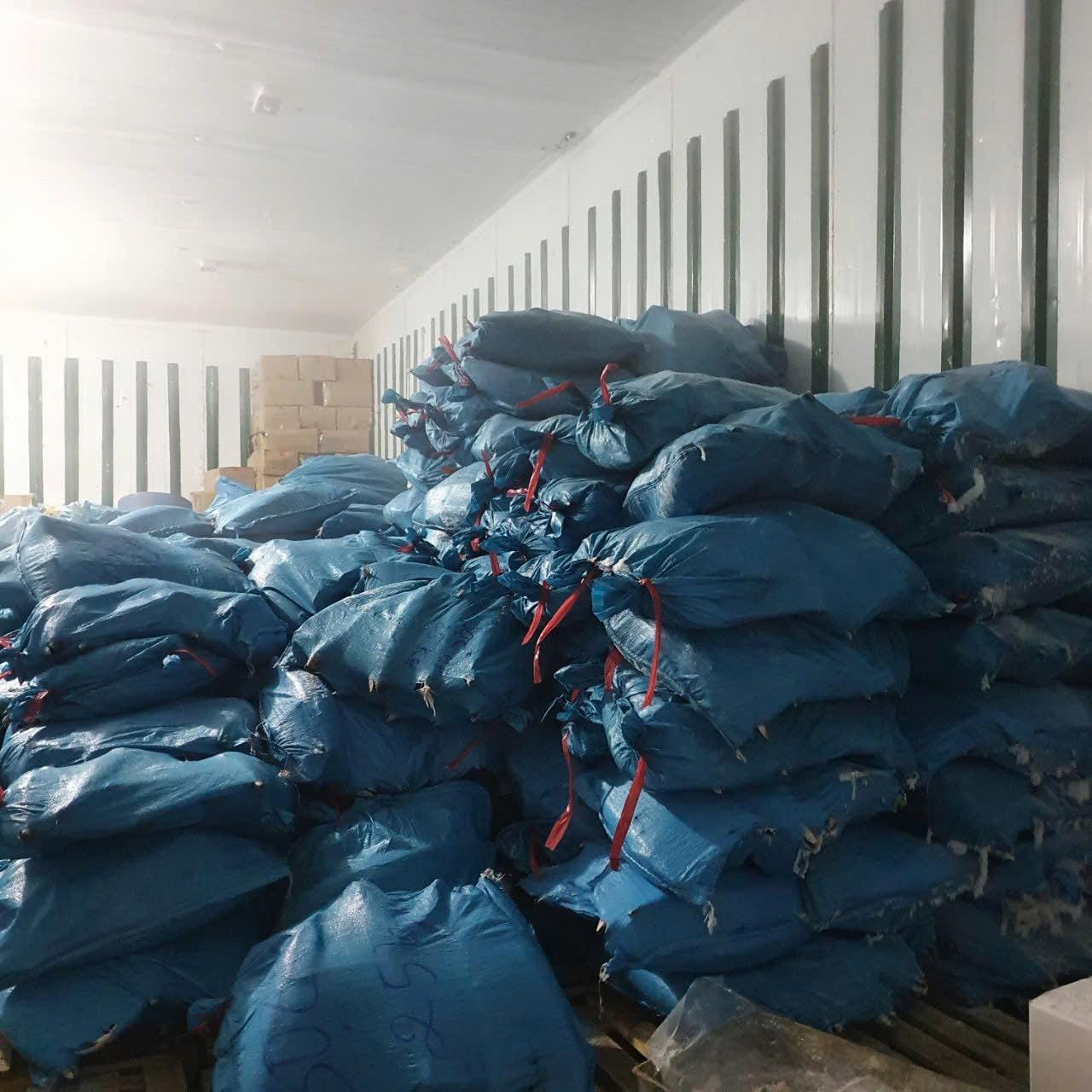 Reefer container loaded with sacked frozen product
