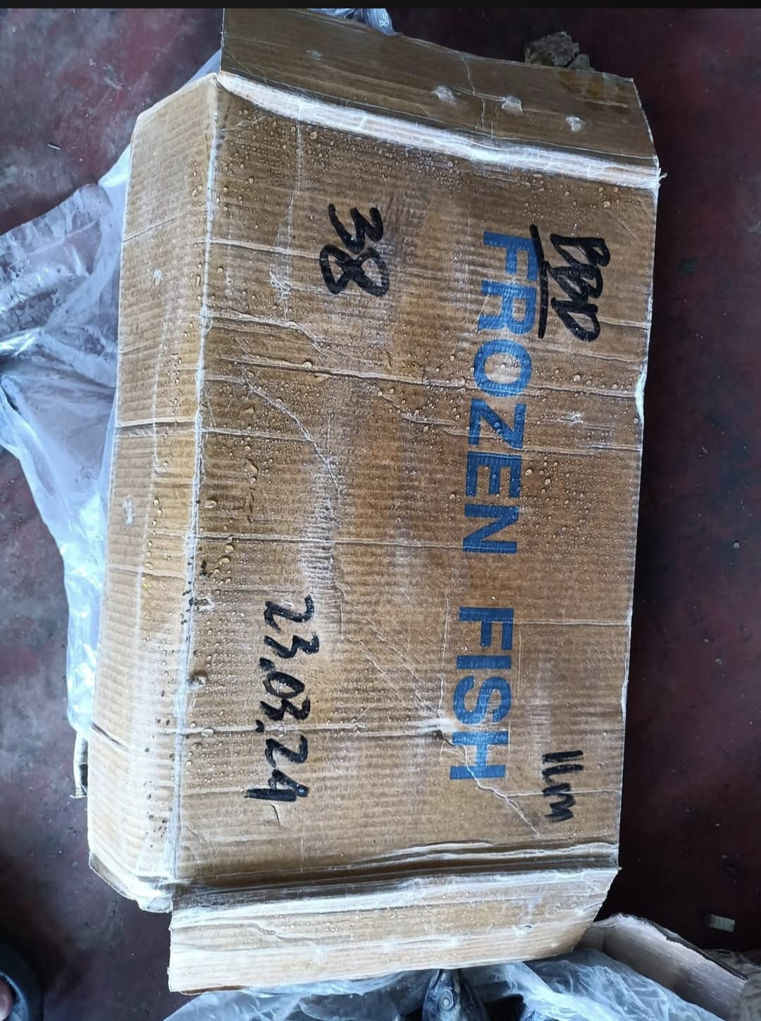 Strapped frozen fish carton marked with lot number and date
