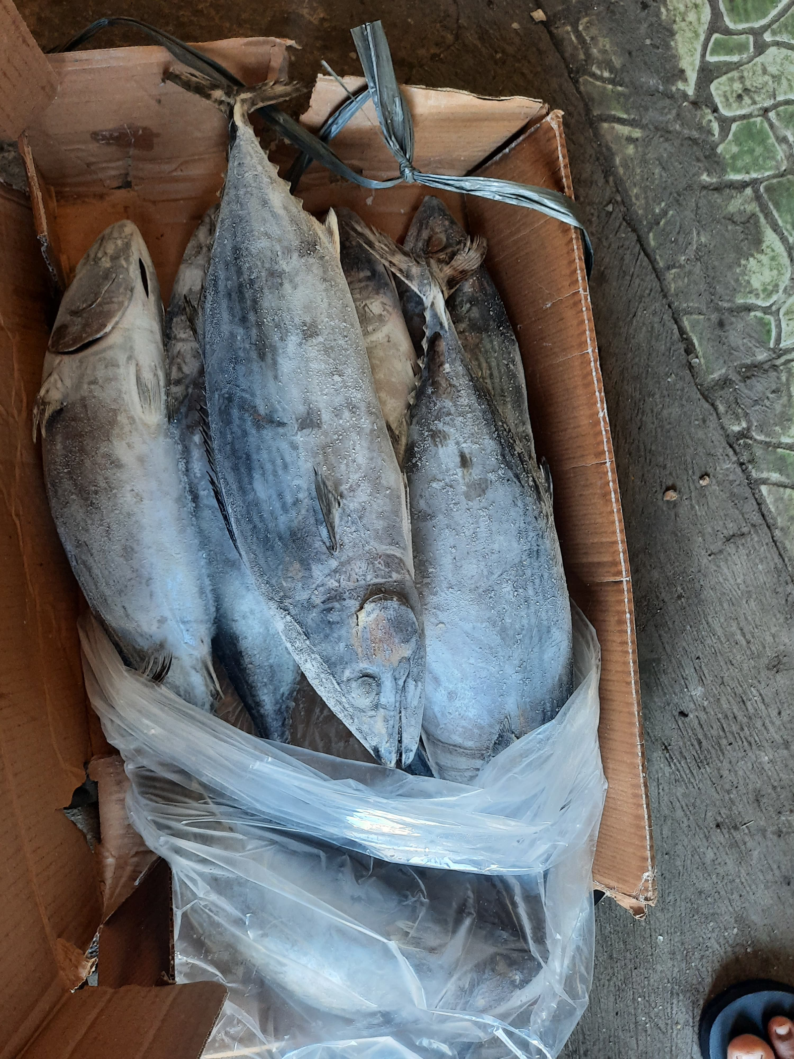 Thùng 20 kg — có ghi số lô.