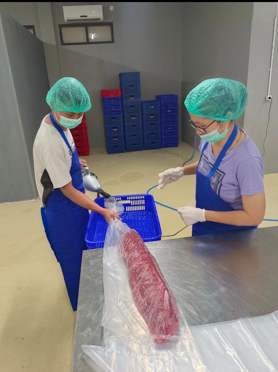 QC staff vacuum-packing a tuna loin on the processing floor