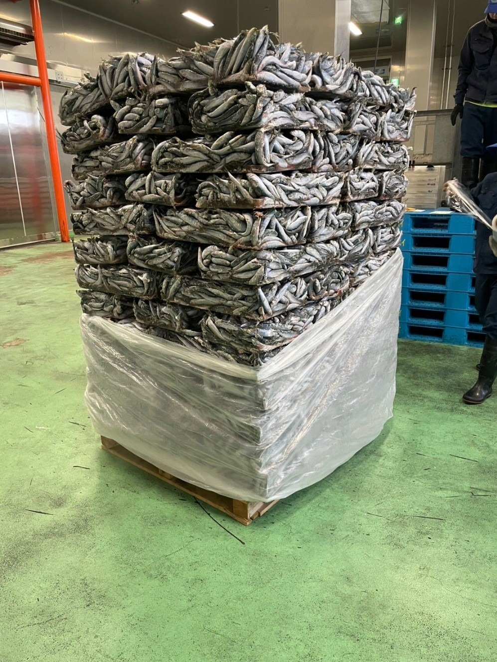 Bulk — blocks on a wooden pallet, plastic wrapped.