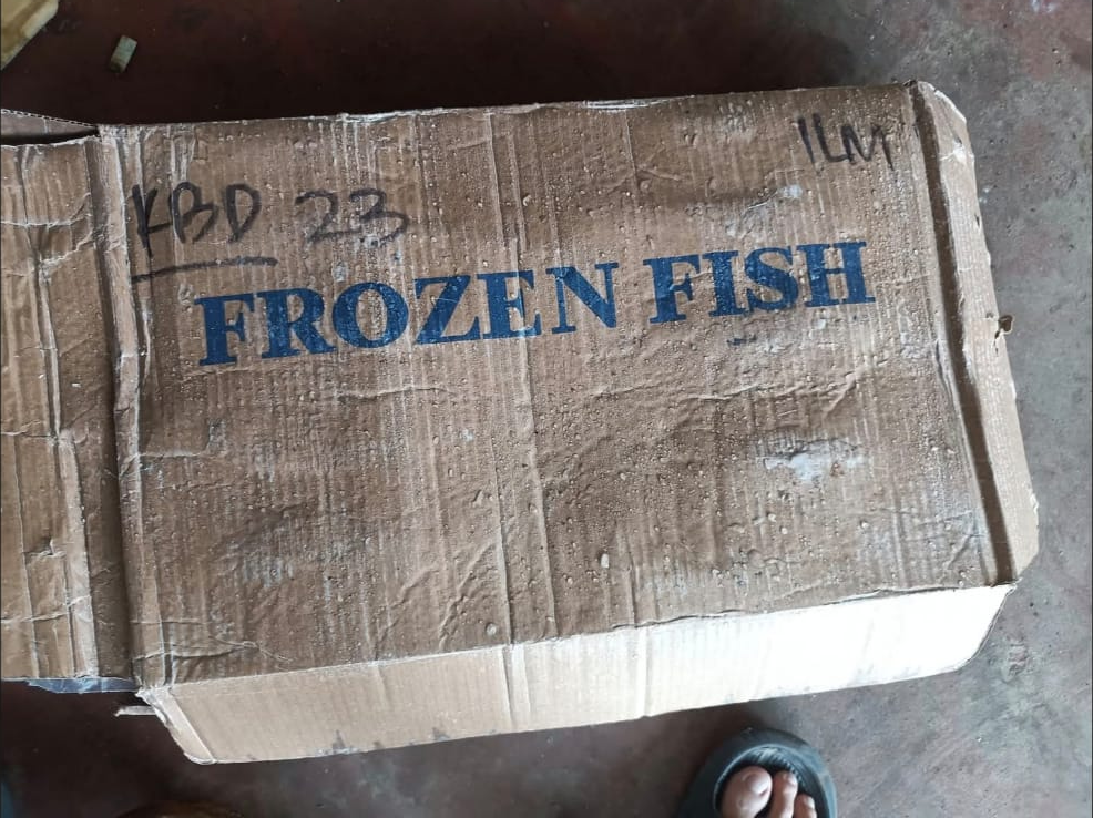 Carton 20 kg — lot-marked.