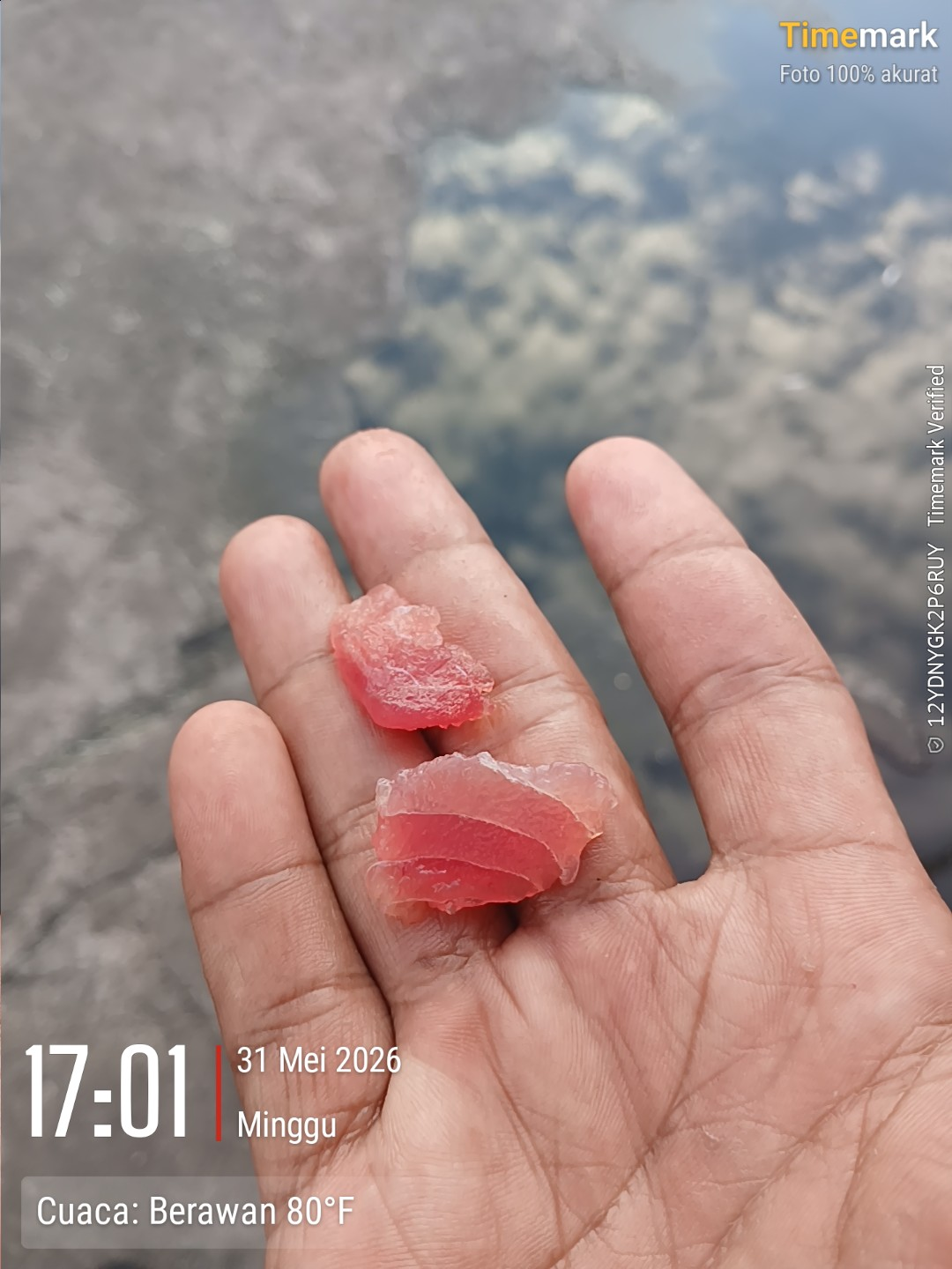 Lát mỏng — trong, chắc, không bị thâm.