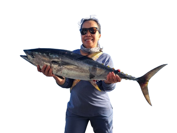 Yellowfin tuna held on the dock in Bitung, sectioned into nine cuts